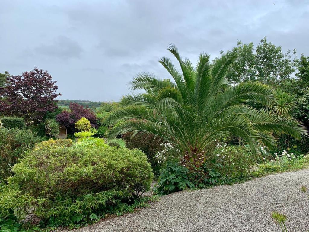 Penquite Holiday Accommodation Uny Lelant Exterior photo